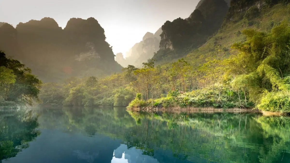 高效智能系统智能化